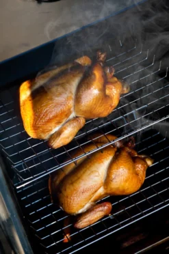 Bradley Digital Smoker 6-Rack / Elektro Räucherofen -Grill Welt Geschäft 13237 Bradley Smoker Gefluegel