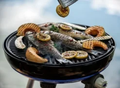 CADAC Camping Gasgrill Carri Chef 50 / BBQ Plancha + Dome - 30 Mbar -Grill Welt Geschäft CADAC Carri Chef 50 30mbar Plancha