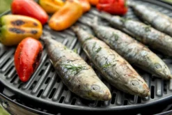 CADAC Camping Gasgrill Grillo Chef 40 / BBQ + Dome - 30 Mbar -Grill Welt Geschäft CADAC Gasgrill Grillo Chef 40 Grillrost 2