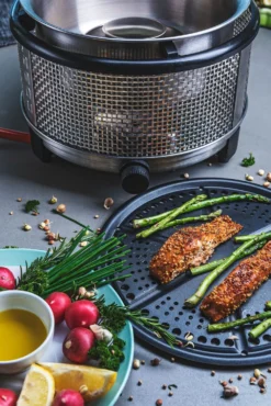 Cobb Grill Premier+ Gas Deluxe Gasgrill 30mbar - Modell 2023 -Grill Welt Geschäft Cobb Grill Premier Plus Gas Deluxe Griddle 1