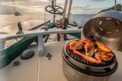 Cobb Grill Supreme Deluxe 2.0 Holzkohlegrill - Modell 2023 -Grill Welt Geschäft Cobb Grill Supreme Deluxe 2 0 600 1 Griddle