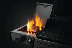 Napoleon Freestyle 425 Gasgrill, Graphit - Mit Sizzle Zone - X-DEAL Inkl. Grillplatte Und Plancha Tool-Set -Grill Welt Geschäft Freestyle F365 F425 Detail IR SideBurner Steak