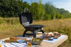 Napoleon TravelQ 240 Kompakt Gasgrill Schwarz- Modell 2023 -Grill Welt Geschäft Napoleon TravelQ TQ240 Kompaktgrill