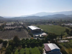 Grillfürst Feinkost - Olivenöl Niz Olive Memecik - Nativ Extra - Mehrfach International Preisgekrönt - 500ml -Grill Welt Geschäft Niz Olive Produktionsstaette bestes Olivenoel weltwet