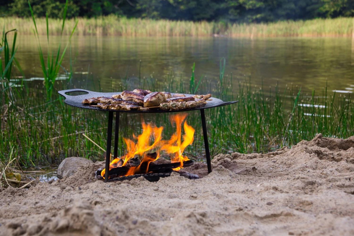 Grill Welt Geschäft -Grill Welt Geschäft Petromax Grillschale Feuerschale fs38 Fleisch