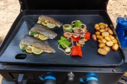 Pit Boss Plancha Grill Ultimate Plancha 2-Brenner - Mit Untergestell -Grill Welt Geschäft Pit Boss Planchagrill 2 Brenner massive Plancha