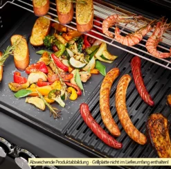 Rösle Gasgrill Magnum PRO G4-S - Modell 2023 -Grill Welt Geschäft Roesle Magnum Pro G4 S Grillflaeche