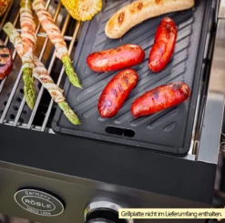 Rösle Gasgrill Videro Pro G2-P Campinggrill -Grill Welt Geschäft Roesle Videro PRO G2 P Gasgrill Beispiel mit Grillplatte