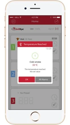 GrillEye Smart Bluetooth Grillthermometer (Grill Eye) -Grill Welt Geschäft grilleye app alarm temperatur