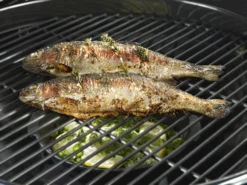 Outdoorchef Gusseisenpfanne / Aromapfanne Ø 23cm 9 Outdoorchef Gusseisenpfanne / Aromapfanne Ø 23cm -Grill Welt Geschäft outdoorchef aromapfanne 18 211 71 f