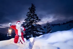 Petromax Petroleumlampe HK500/829 Chrom -Grill Welt Geschäft petromax starklichtlampe hk500 px5c 20